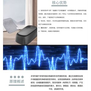 空间场疗馆（频波星2个）